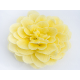 Buttercream