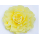 Fresh Lemon