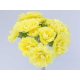 Fresh Lemon