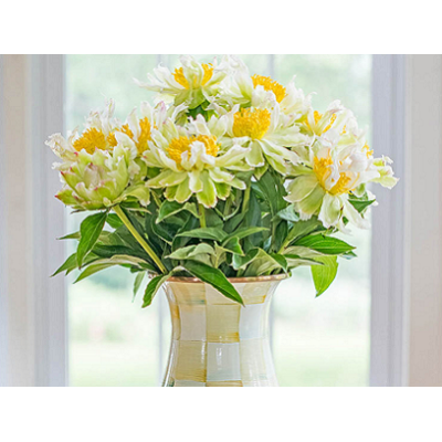 пион Green Lotus