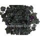 Rockies Black