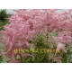 Pink Lightning